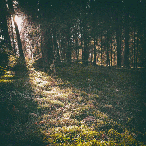 Aukels : Swāikstas Perēisna